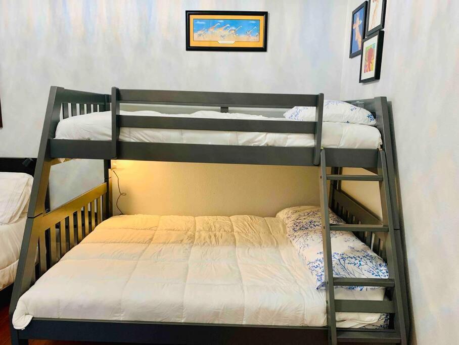 Pershing Place: Historic Home With Heated Spa/Pool By Zoo, Pearl, Golf, Witte Сан Антонио Екстериор снимка